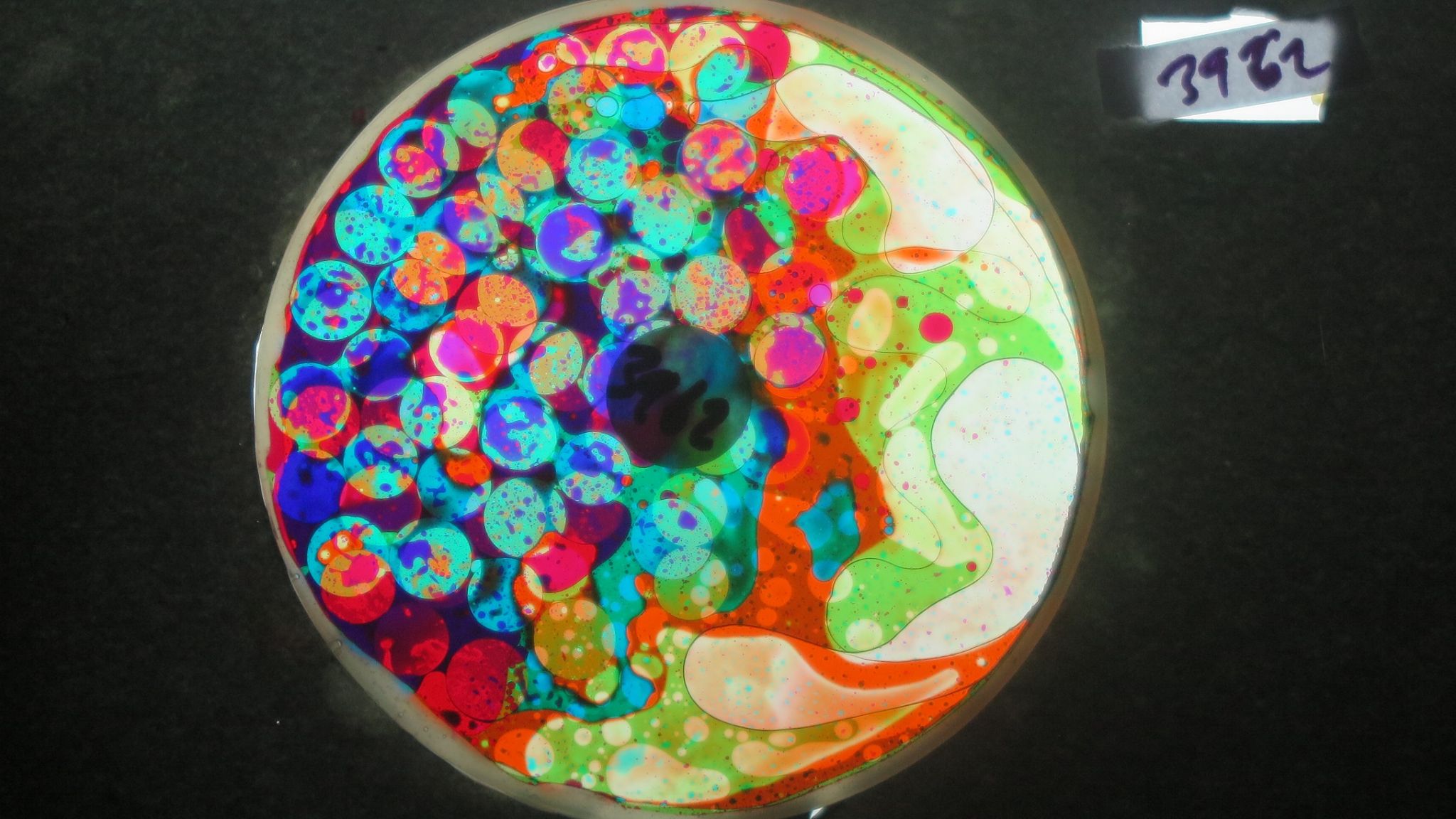 BV3962 bubble vision oil wheel